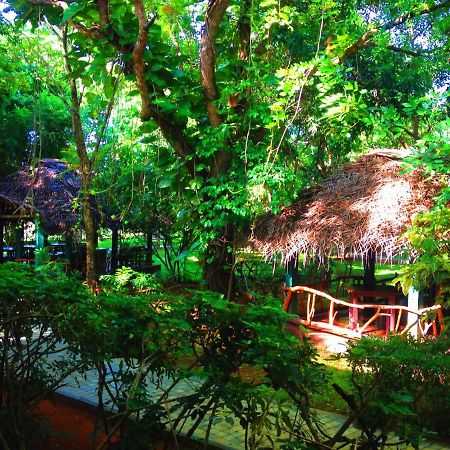 Pelwehera Village Resort Дамбулла Екстер'єр фото