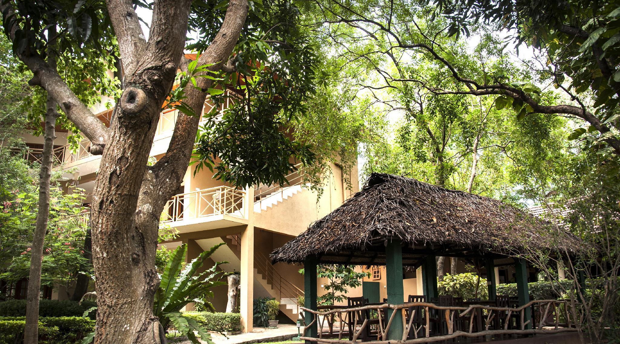 Pelwehera Village Resort Дамбулла Екстер'єр фото
