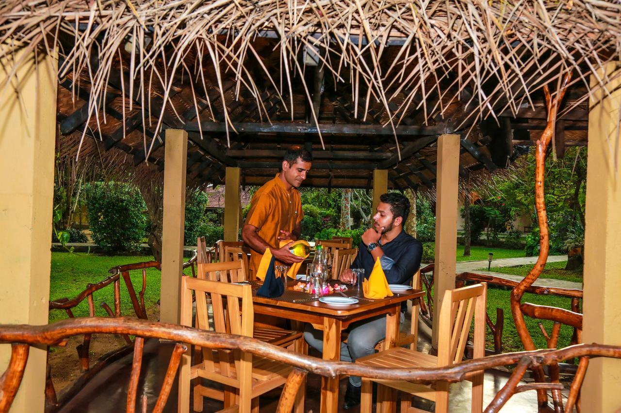 Pelwehera Village Resort Дамбулла Екстер'єр фото