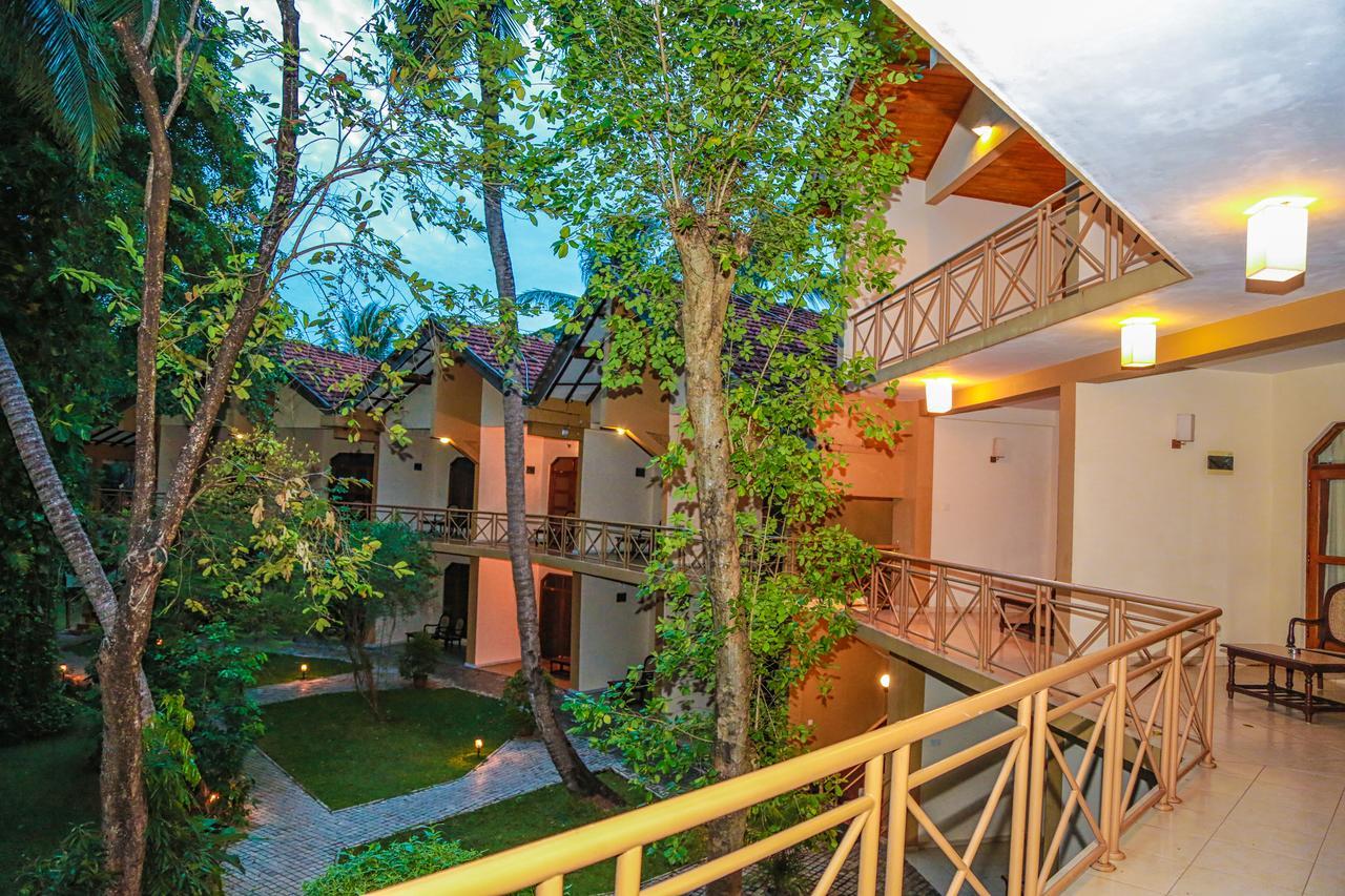 Pelwehera Village Resort Дамбулла Екстер'єр фото