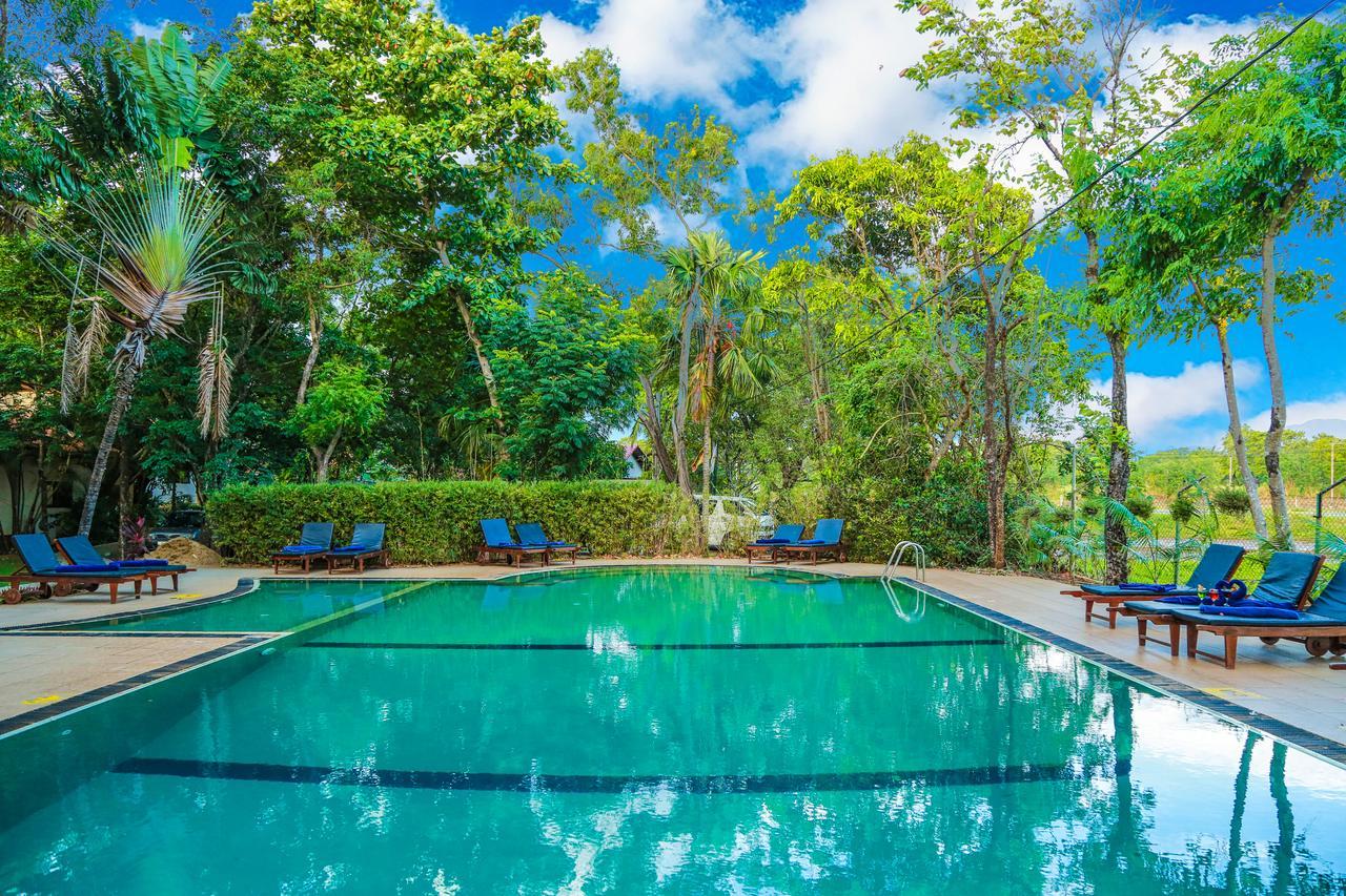 Pelwehera Village Resort Дамбулла Екстер'єр фото