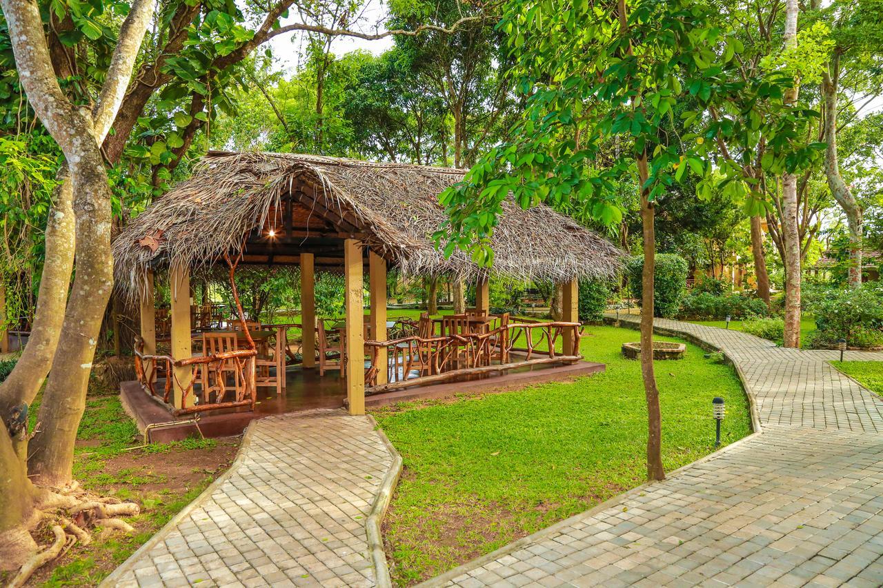 Pelwehera Village Resort Дамбулла Екстер'єр фото