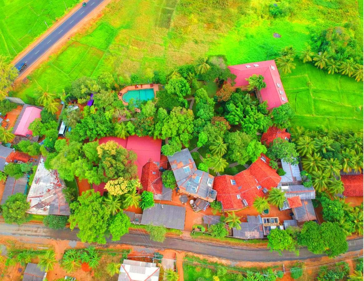 Pelwehera Village Resort Дамбулла Екстер'єр фото