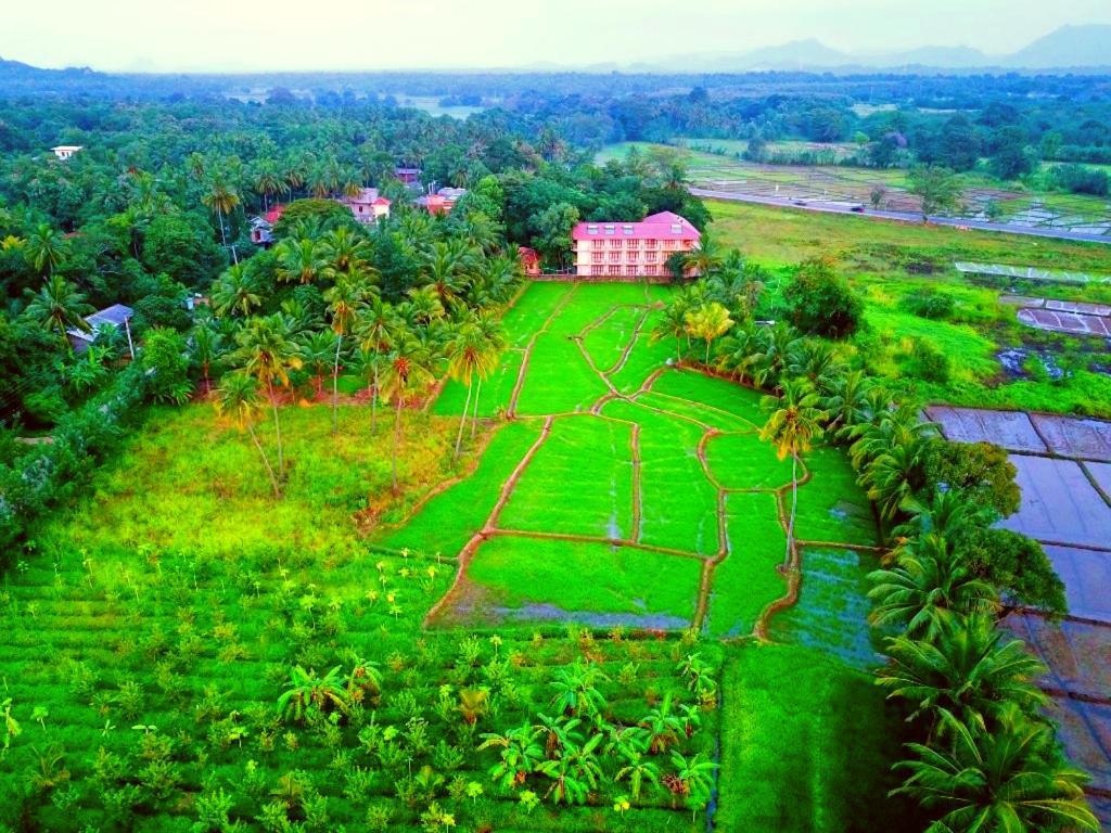 Pelwehera Village Resort Дамбулла Екстер'єр фото