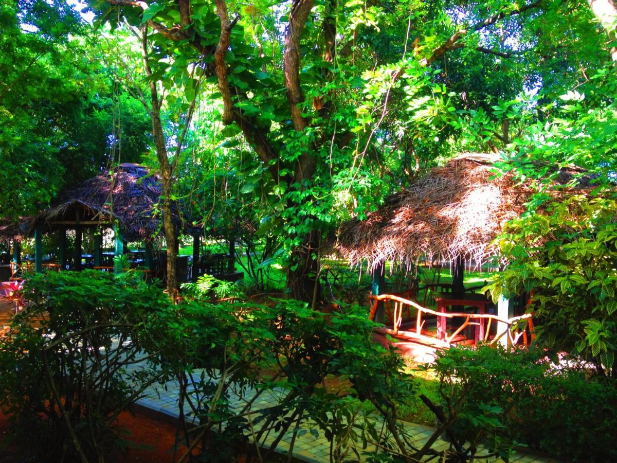 Pelwehera Village Resort Дамбулла Екстер'єр фото