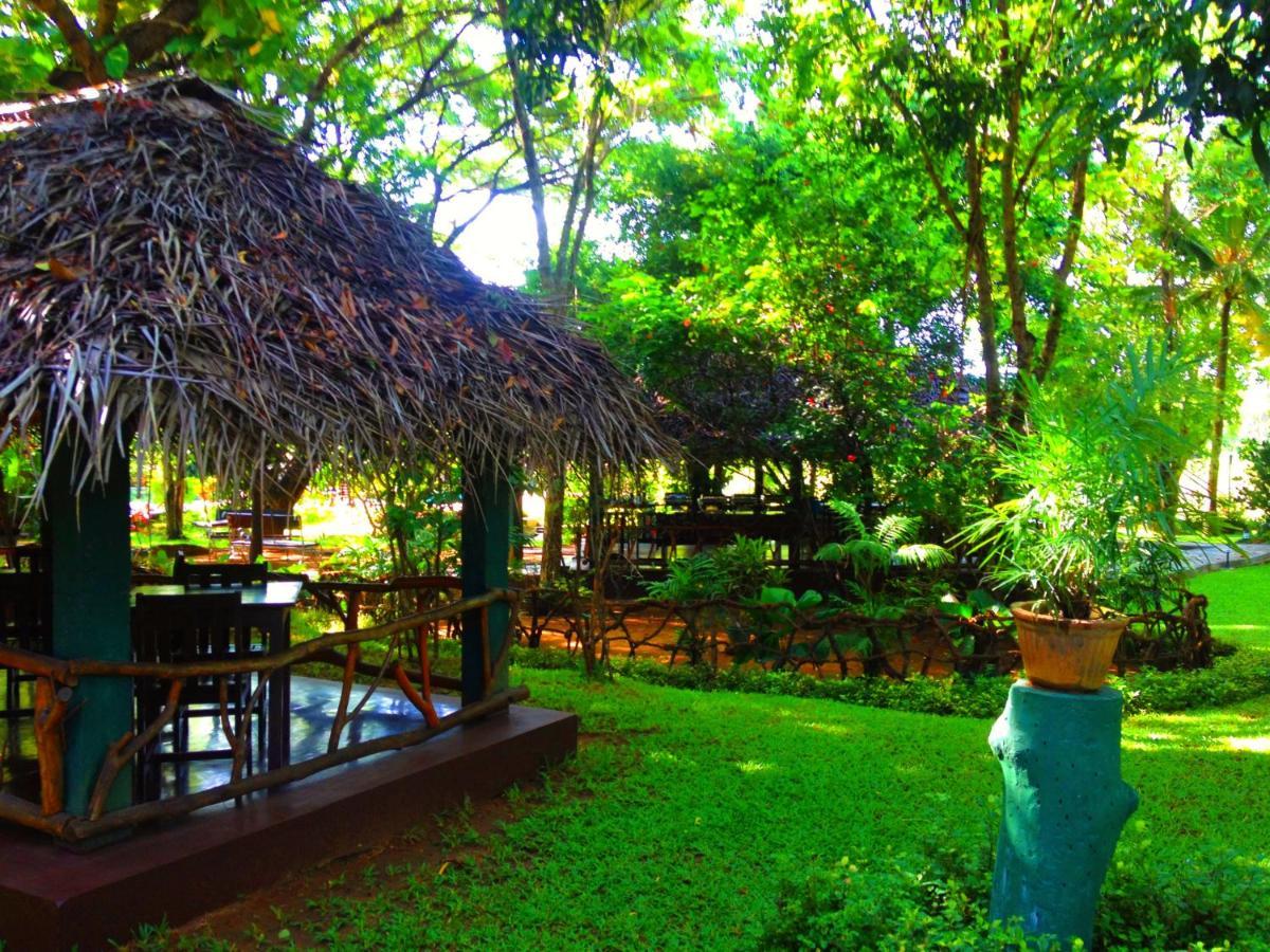 Pelwehera Village Resort Дамбулла Екстер'єр фото