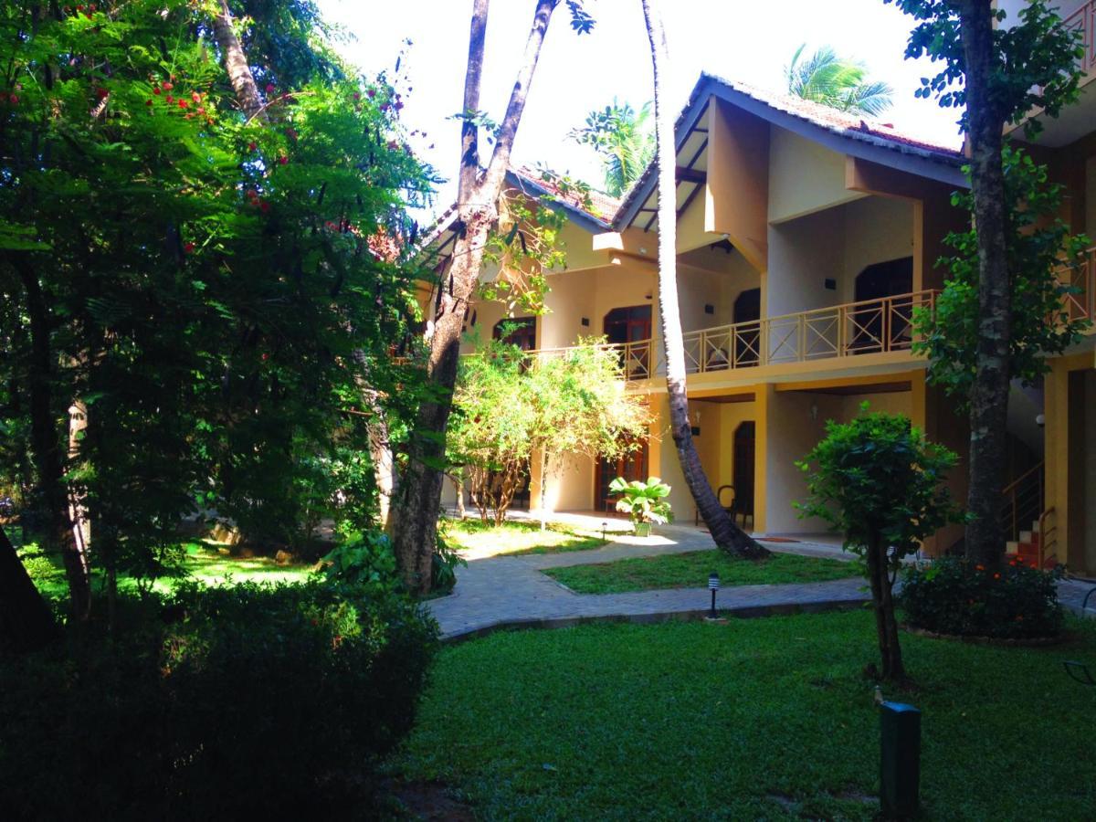 Pelwehera Village Resort Дамбулла Екстер'єр фото